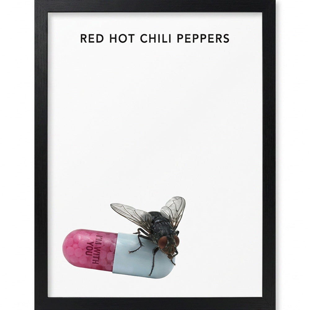 RED HOT CHILI PEPPERS - I'M WITH YOU / コレクタープリント